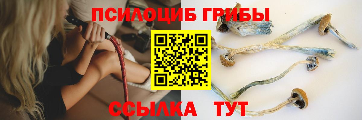 Галлюциногенные грибы мицелий Шатура