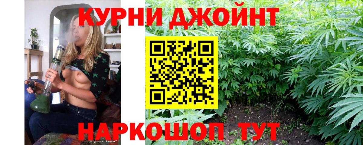Бошки Шишки семена  Вход с VPN  Шатура  Шишки марихуана конопля  Конопля сатива  Каннабис THC 21% 